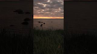 22 fujifilm foryou photographer loodus fyp nature fujifilmglobal sunset photography [upl. by Anema268]