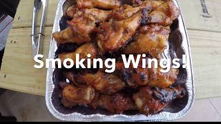 Traeger Pro 575SMOKING WINGS [upl. by Clayborn17]