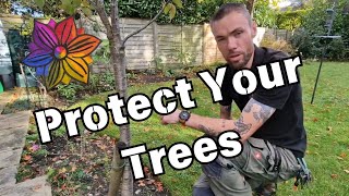 Protect Your Trees and Prevent Girdling [upl. by Nohj]