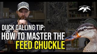 How to Make a Mallard Feeding Call  Duck Calling Tips and Tricks [upl. by Reh]