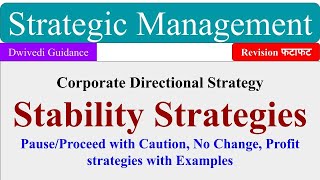 Stability Strategies Pause and Proceed strategy No Change Strategy Profit Strategy strategic [upl. by Suvart286]