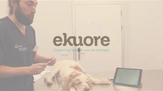 Como utilizar el Otoscopio Veterinario digital eKuore [upl. by Toms400]