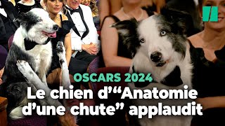 Messi le chien dquotAnatomie dune chutequot surpris en train dapplaudir lors des Oscars 2024 [upl. by Deedee]