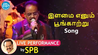 Ilamai Ennum Poongaatru LIVE Performance by SPB  Maestro Ilayaraaja  இளமை எனும் பூங்காற்று [upl. by Ivana]