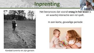 Bio  Vormen van leren Imiteren oefenen inprenting gewenning en inzicht  Gedrag 3 [upl. by Pravit314]