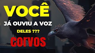 Corvo  A misteriosa ave  fatos sobre os corvos que vai deixar você fascinado [upl. by Berta]