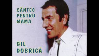 Banalitate  Gil Dobrică [upl. by Irami]