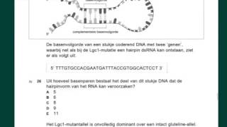 VWO biologie Examenuitleg 2013 tijdvak 2 vr 2329 [upl. by Darelle]