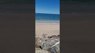 Broadway Beach with a Glenelg view southaustralia travel [upl. by Nwahsir]