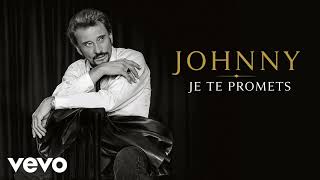 Je te promets  Johnny Hallyday ACAPPELLA [upl. by Yonatan]