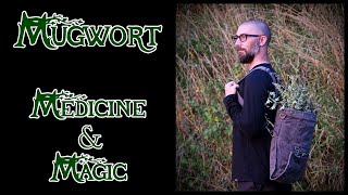 Mugwort  Medicine amp Magic [upl. by Nnairet]