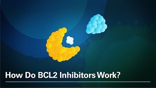 How Do BCL2 Inhibitors Work [upl. by Eanahc672]