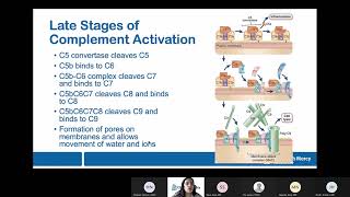 Abbas 13 Effector Mechanisms Pandya [upl. by Naellij]