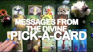 MESSAGES FROM THE DIVINE  pickacard tarot reading [upl. by Gawlas]