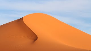 The Sahara desert  Ecosystems [upl. by Brice]