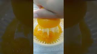 Squeeze Orange Juice squeeze orangesjuice [upl. by Adne]