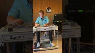 quotBorrowed Angelquot Instrumental Pedal Steel Guitar [upl. by Wilona725]