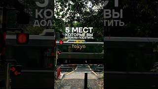 TOP5 Tokyo⛩️🔥 travel путешествия япония токио japan tokyo asaka shibuya kyoto [upl. by Smallman]