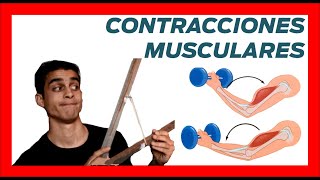 💪 Tipos CONTRACCIONES MUSCULARES ❗❗ Ejemplos concentricas y excentricas [upl. by Noseyt726]