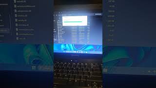 Copying Windows 10 22H2 files from sources folder onto my Windows 11 24H2 usb into sources folder [upl. by Okiman]