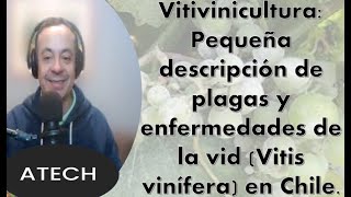 Vitivinicultura Pequeña descripción de plagas y enfermedades en la Vid Vitis vinífera en Chile [upl. by Anelrac]