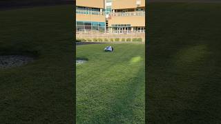 Robots mowers amp ryegrass overseeding at Remington Park [upl. by Airdnaxela]