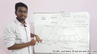 Feldspar group  Mineralogy  for NETCSIR  SET  GATE  JAM Geology [upl. by Yboc]