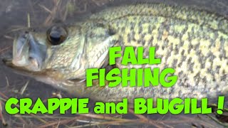 October Bank Fishing for Crappie and Bluegill [upl. by Kwang]