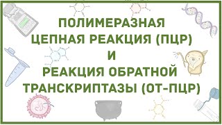 ПЦР  диагностика вирусной инфекции коронавируса  наглядное объяснение метода [upl. by Klos950]