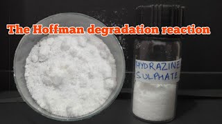 Making Hydrazine Sulphate from Urea via Hoffmann degradation reaction [upl. by Aria833]