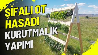 ŞİFALI OT HASADI  KURUTMALIK YAPIMI  MELİSAOĞUL OTU TIBBİ NANE ANADOLU ADAÇAYI KEKİK [upl. by Aivun760]