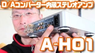 USB接続可能なステレオアンプ「AH01」 [upl. by Gherlein355]