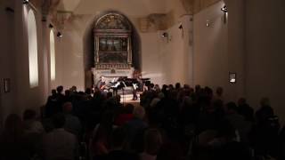 The IAR TRIO plays C Czerny Trio op105 [upl. by Nnylyrehc]