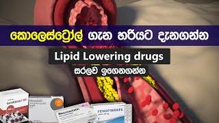 කොලෙස්ට්‍රෝල් වලට ගන්න බෙහෙත් 😨 Lipid lowering drugs in sinhala  treatment for cholesterol [upl. by Rey]