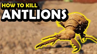 How to Kill ANTLIONS in 2023  GROUNDED 11 [upl. by Ahsrat505]