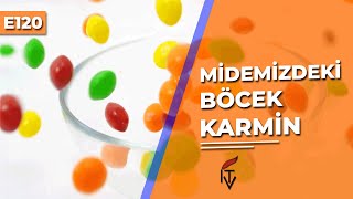 Karmin Nedir E120 Bugün Ne Yedim  Gıda Katkı Maddeleri [upl. by Vashtee]