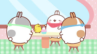 Molang Back to School Compilation  More MolangCartoon ⬇️ ⬇️ ⬇️ [upl. by Aufa7]