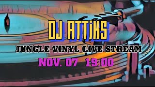 DJ ATTiKS  Absolutely Jungle vinyl Stream 07112024 [upl. by Weinstock]