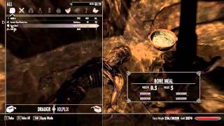 Kilplix Mods The Crap Out of Skyrim 4  What if I do this AHHHHH [upl. by Nnylram992]