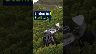 Ernten im Steilhang unserland modernelandwirtschaft shorts [upl. by Cod]