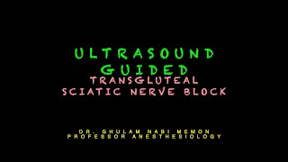 Transgluteal Sciatic Nerve Block  Ultrasound Technique  Dr Ghulam Nabi [upl. by Darmit]