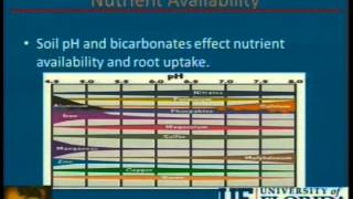 Understanding the Potential Problems with High Bicarbonates in Irrigation Water [upl. by Namien]