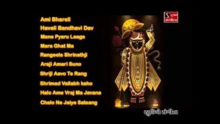 Shrinathji Satsang  Top 10 Songs  Maara Ghat Ma Birajta Shrinathji [upl. by Nerot]