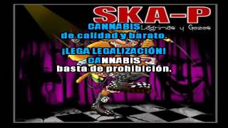 legalizacion skap  karaoke [upl. by Anaidni]