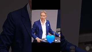 politik geldsozialismus afd wirtschaftspolitik [upl. by Elleuqram163]