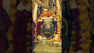 Har har mahadev 🙏🌹🌼 video sayer and sickarib 💕🌹🌼🥰🙏 [upl. by Jaeger]