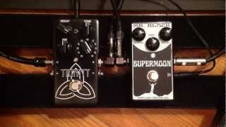 Mr Black Supermoon vs TC Electronic Trinity Reverb [upl. by Filomena334]