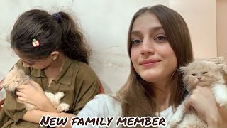 Hamara New Family Member😄Baby Kiki Doctor Day💉👀Zolish Vlog [upl. by Aynik]