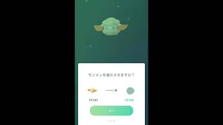 【ポケモンGO】色違い モンメンの進化 Pokemon GO Shiny The evolution of cottonee [upl. by Hennebery942]