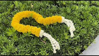 Thai Flower Garland Hoa Vạn Thọ 💛💛💛  Ep 12 garland hoa kheotayhaylam bangkok thailand [upl. by Nnairret605]